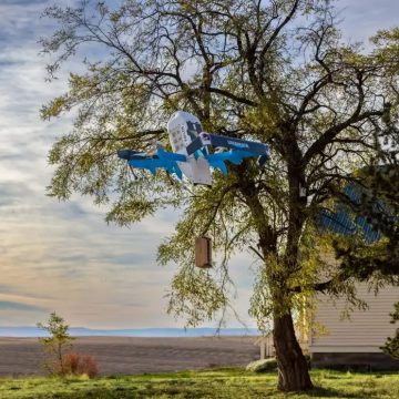 Amazon to resume drone delivery following crash in Arizona