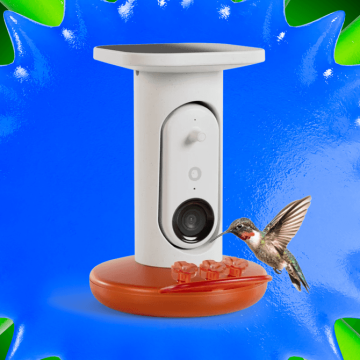 This Is the Best Smart Hummingbird Feeder I’ve Tested, and It’s $50 off Right Now