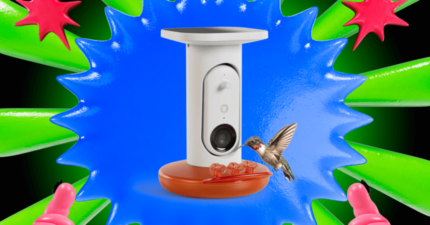 This Is the Best Smart Hummingbird Feeder I’ve Tested, and It’s $50 off Right Now