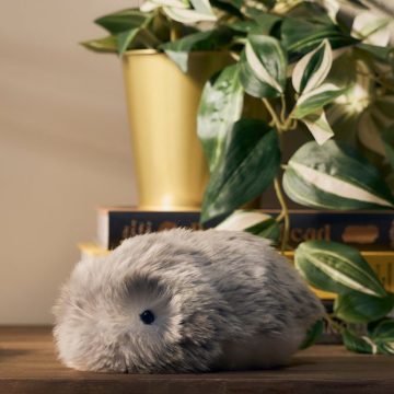 Casio’s Fluffy AI Robot Squeaked Its Way Into My Heart Casio’s Fluffy AI Robot Squeaked Its Way Into My Heart