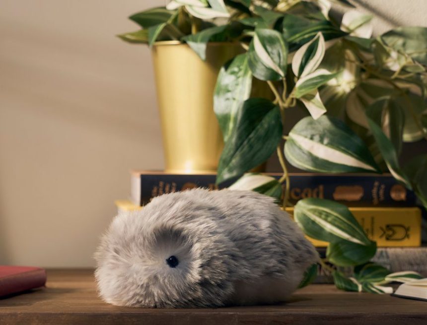 Casio’s Fluffy AI Robot Squeaked Its Way Into My Heart