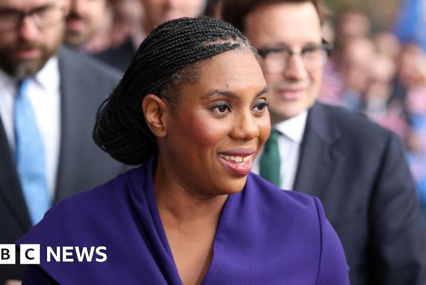 Conservatives pledge to remove 750,000 migrants under borders plan