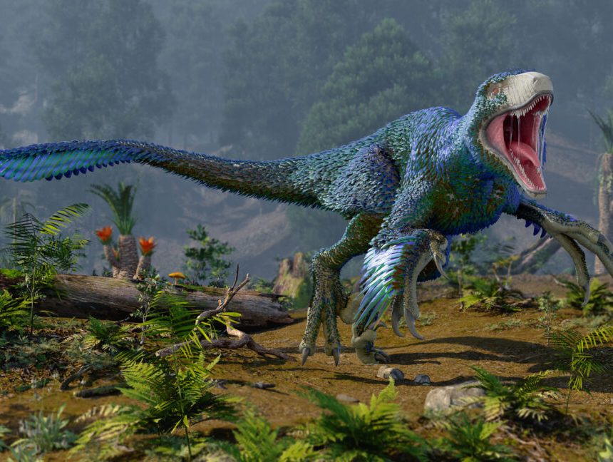 Image of a scrub-rich hillside, with a feathered dinosaur running across it.