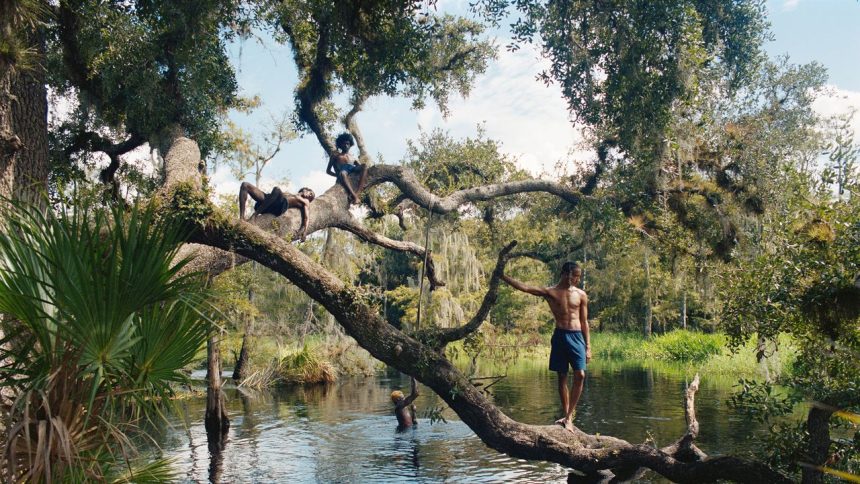 “Florida Boys” by Josh Aronson