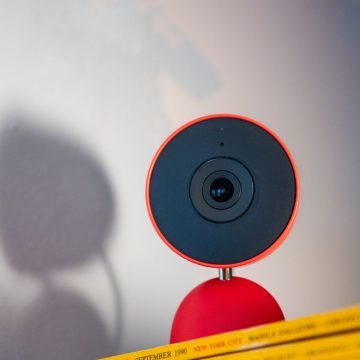 Gemini in Google Home Keeps Mistaking My Dog for a Cat