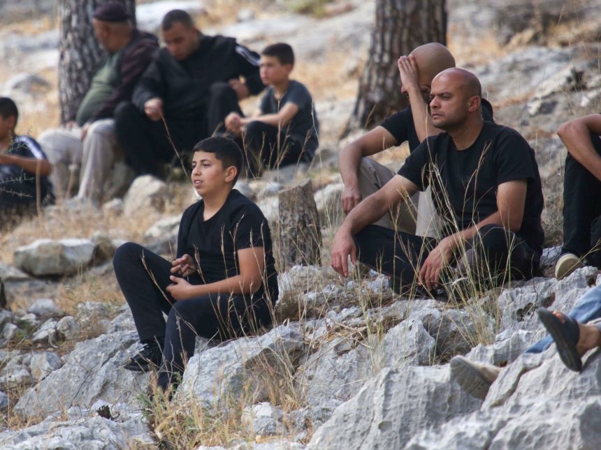 Israeli arson, bulldozers and forced labour in the West Bank’s Tulkarem | Israel-Palestine conflict News