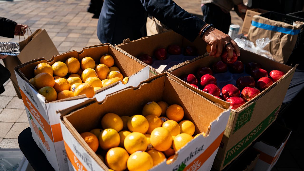 How to Help People Losing Their SNAP Benefits