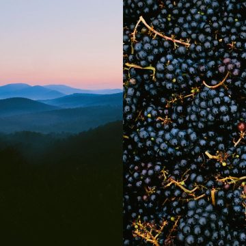 It's a Fine Time for American Wine