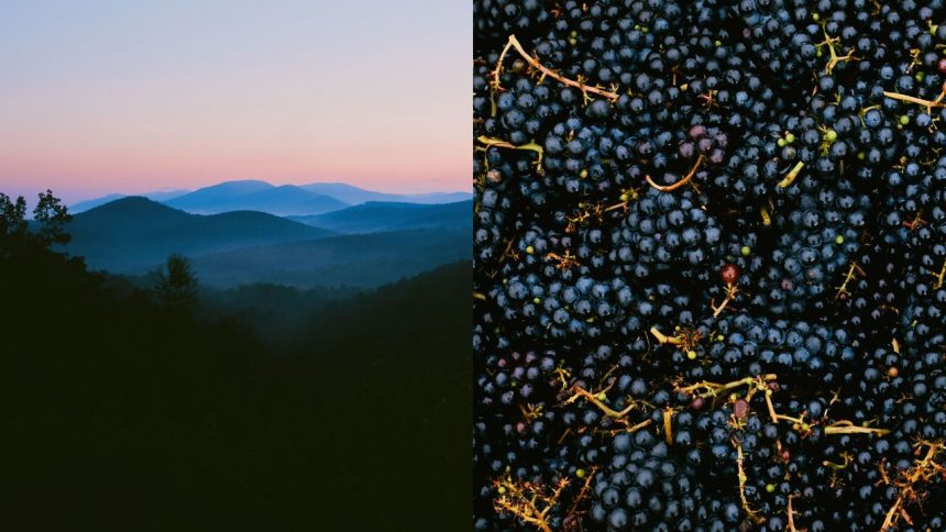 It's a Fine Time for American Wine