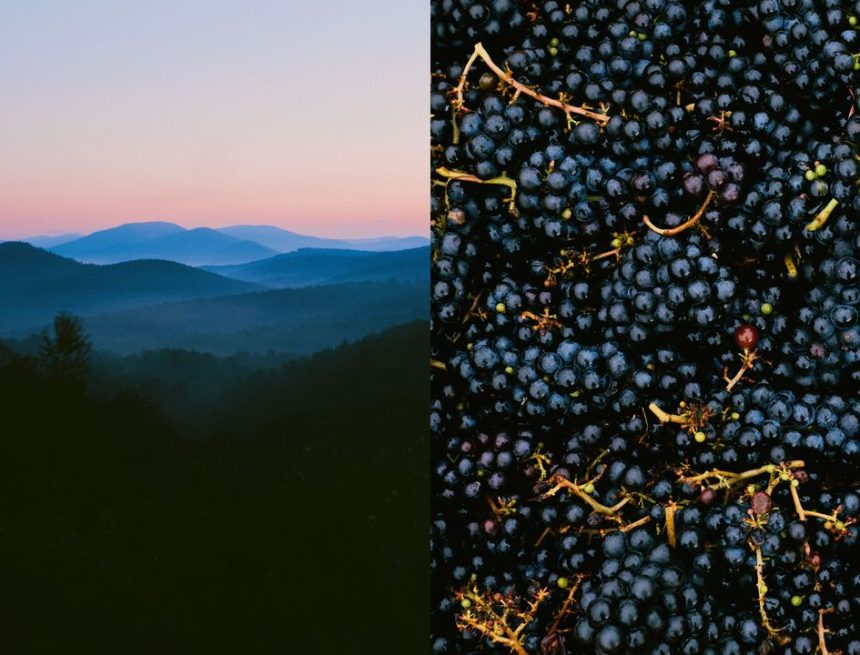 It's a Fine Time for American Wine