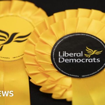 Liberal Democrats win six seats in Surrey by-elections