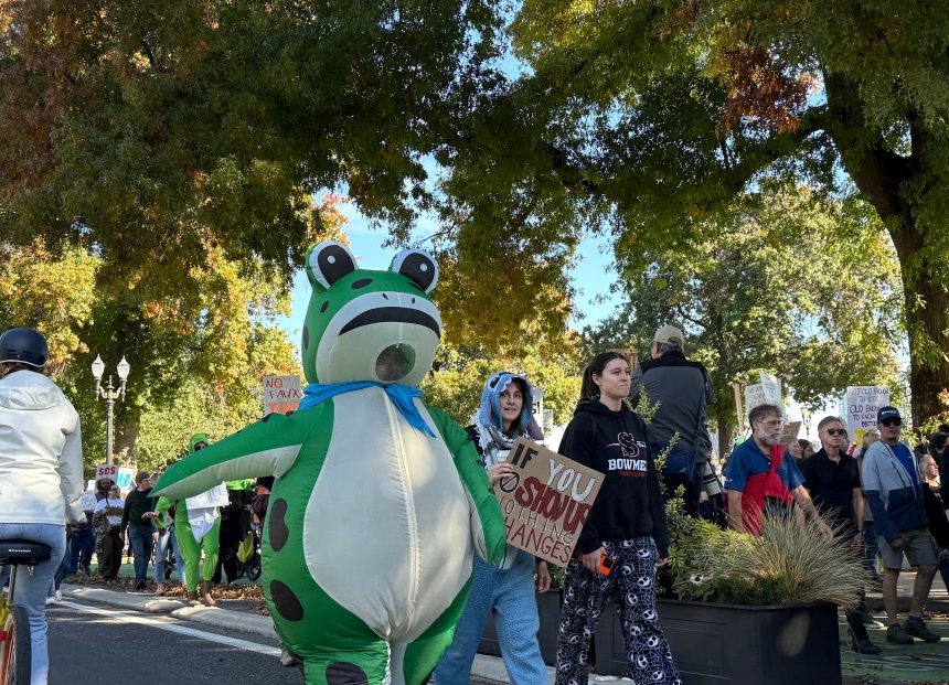 March of the frogs | The Verge