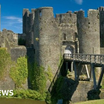 Meet the Caerphilly by-election candidates