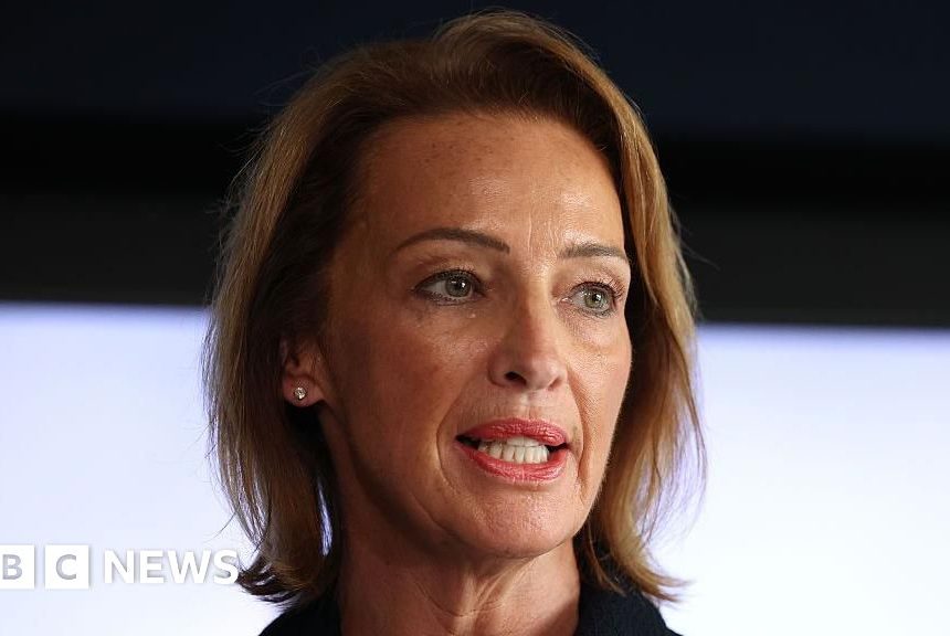 Nigel Farage has questions to answer over Sarah Pochin's 'racist' remarks, PM says