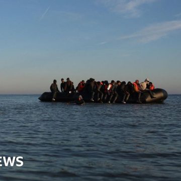 Nineteen more removed to France under 'one in, one out' scheme