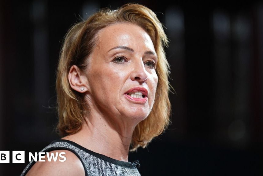 Reform MP Sarah Pochin's comments about adverts were 'racist', Wes Streeting says