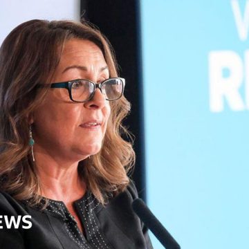 Reform UK Kent council leader reports video leak 'cowards'