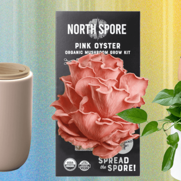 The 14 Best Gifts for Plant Lovers We’d Buy Ourselves (2025)