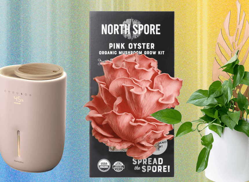 The 14 Best Gifts for Plant Lovers We’d Buy Ourselves (2025)