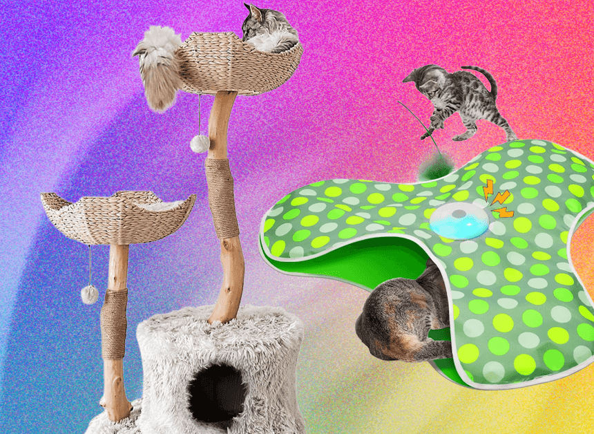 The Best Cat Toys for Your Furry Friend (2025)