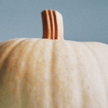 The Best of Pumpkin’s Main Character Energy in 7 Recipes