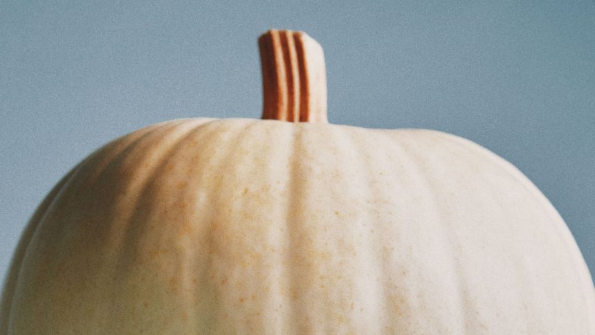 The Best of Pumpkin’s Main Character Energy in 7 Recipes