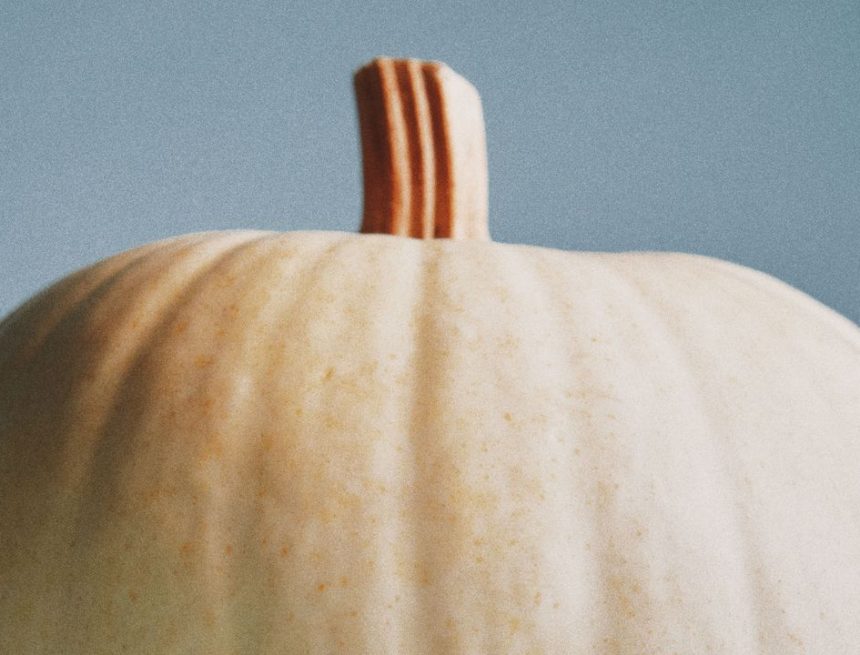 The Best of Pumpkin’s Main Character Energy in 7 Recipes