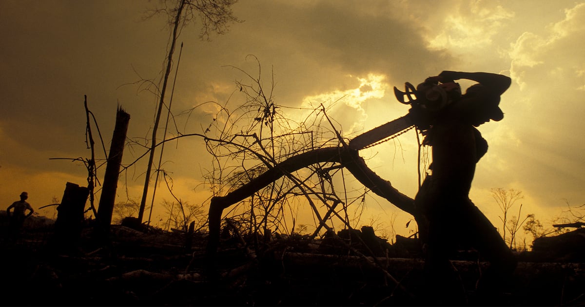 The Frayed Edge: Are All Sustainability Certifications Broken?