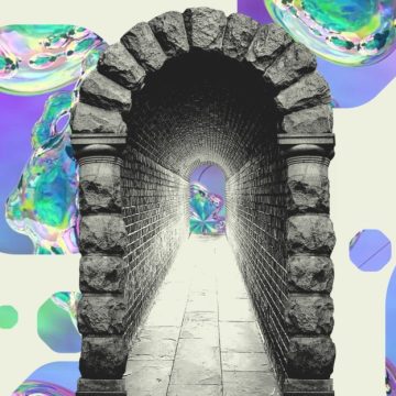 The return of the trans underground