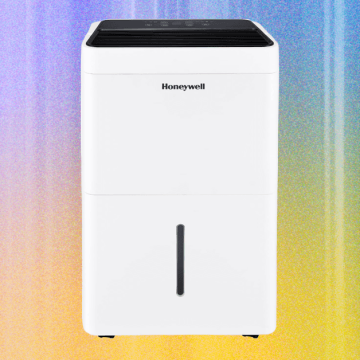 7 Best Dehumidifiers for Cool and Dry Home Air (2025)