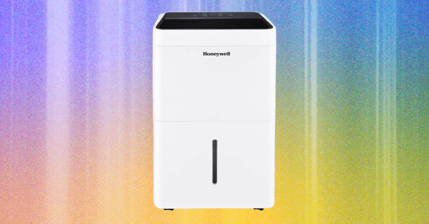 7 Best Dehumidifiers for Cool and Dry Home Air (2025)