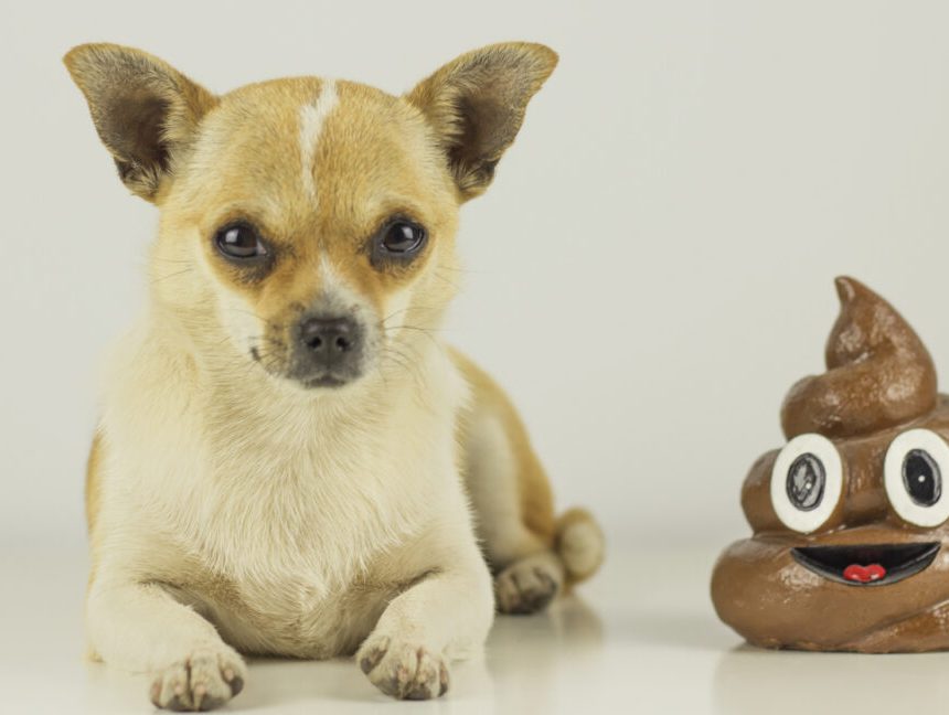 This may be the most bonkers tech job listing I’ve ever seen