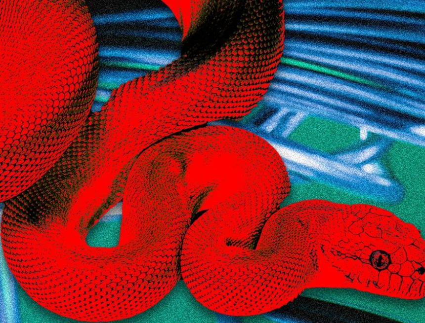 This ‘Privacy Browser’ Has Dangerous Hidden Features