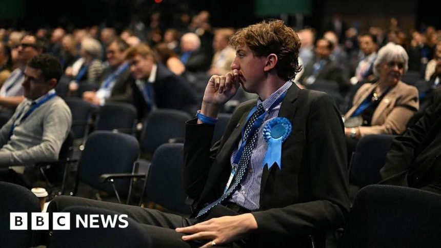 TikTok or bust? Tories try to work out how to win younger voters