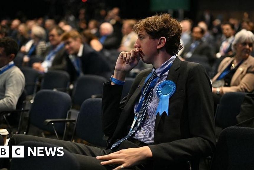 TikTok or bust? Tories try to work out how to win younger voters