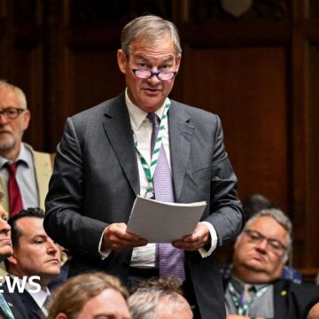 Tories give ex-Reform MP Rupert Lowe seat on top Commons committee