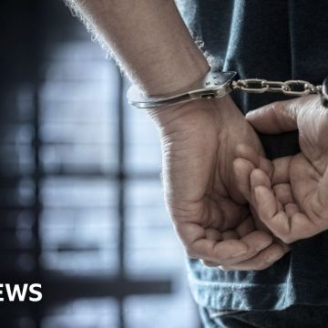 Tories say thousands of criminals will be released under reforms