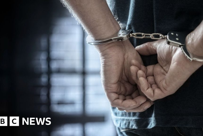 Tories say thousands of criminals will be released under reforms