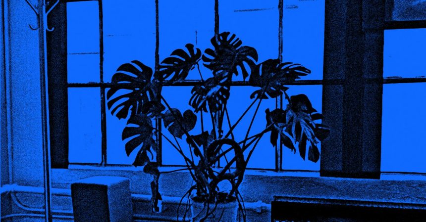 The Argument for Letting AI Burn It All Down The Argument for Letting AI Burn It All Down