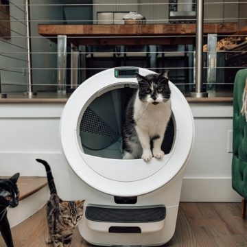 Whisker launches three new Litter-Robots, including one with cameras