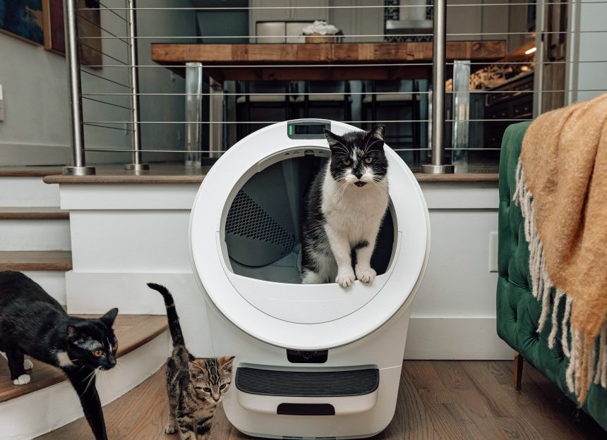 Whisker launches three new Litter-Robots, including one with cameras