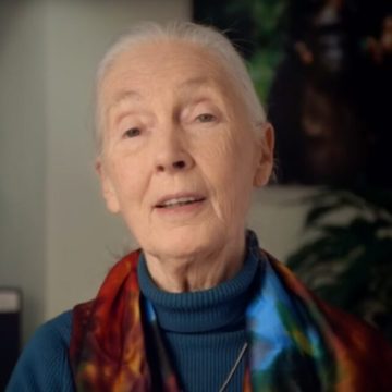 screenshot of Jane Goodall