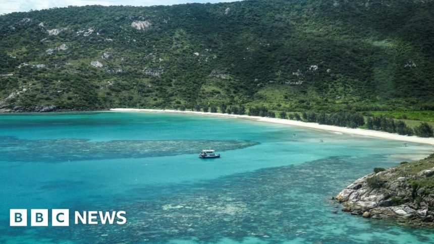 Woman left behind by cruise ship on Australian island found Woman left behind by cruise ship on Australian island found dead