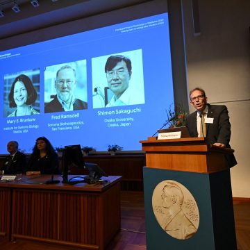 Nobel Prize for medicine awarded to immune system researchers | News