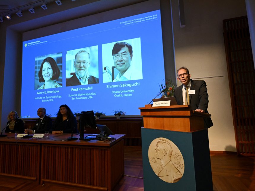 Nobel Prize for medicine awarded to immune system researchers | News
