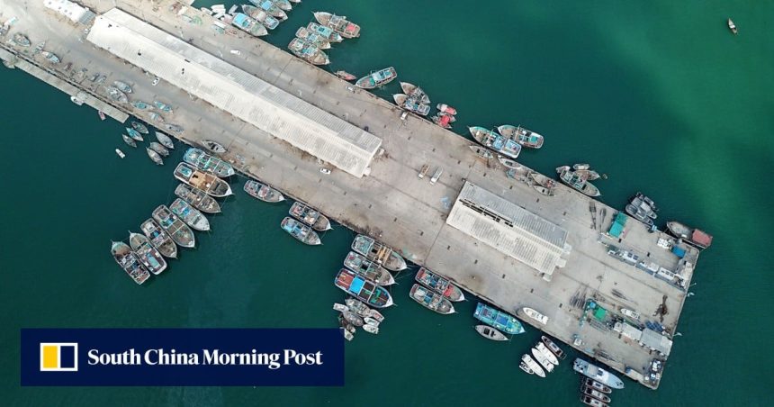 Pakistan proposes US-backed port deal to unlock mineral wealth: report