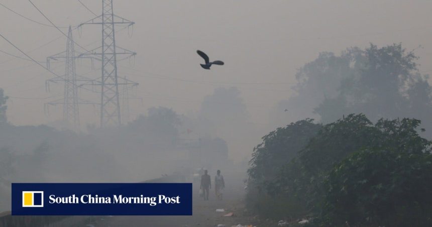 India’s capital celebrates Diwali cloaked in acrid smog – despite ‘green firecrackers’