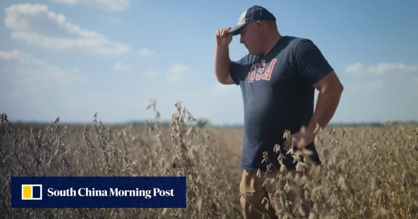 US soybean farmers urge Trump to ‘choose partnership, not pressure’ US soybean farmers urge Trump to ‘choose partnership, not pressure’ ahead of Xi meeting