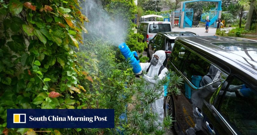 Hong Kong leader vows to nip chikungunya in the bud Hong Kong leader vows to nip chikungunya in the bud as 21 show symptoms