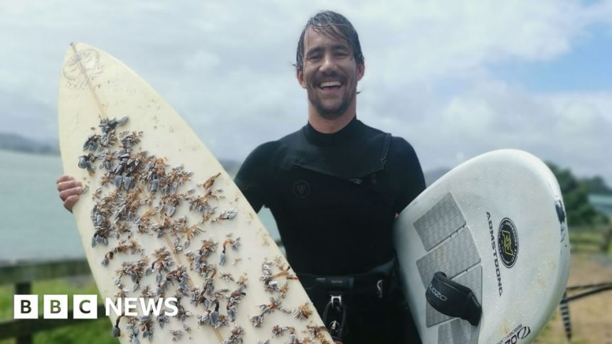 Lost surfboard in Tasmania drifts more than 2,400km to New Lost surfboard in Tasmania drifts more than 2,400km to New Zealand